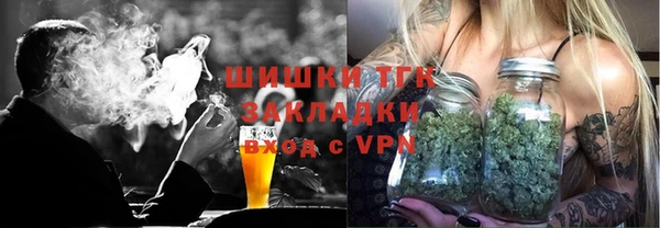 стаф Алексин