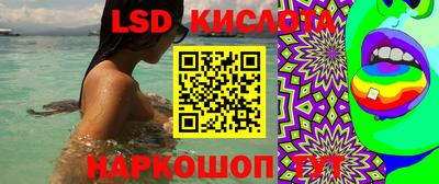 шишки Кинель