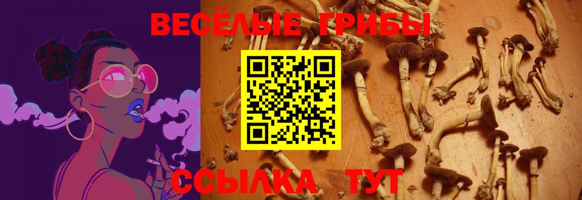 Галлюциногенные грибы мухоморы  Псилоцибиновые грибы Magic Shrooms  Набережные Челны  Вход с VPN 